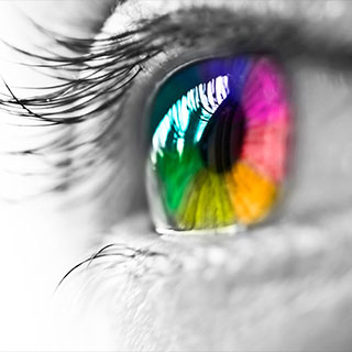 Same Day  Canvas Printing